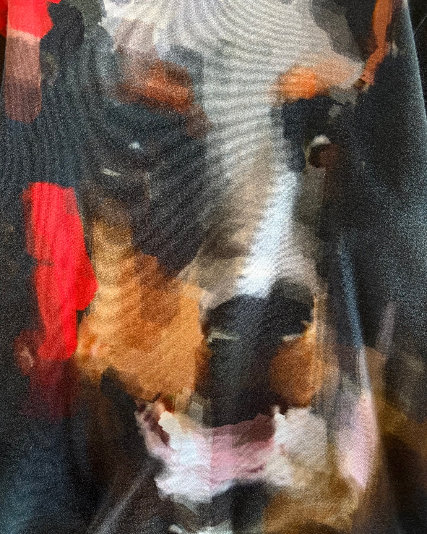 GIVENCHY FW2013 DOBERMAN SWEATER