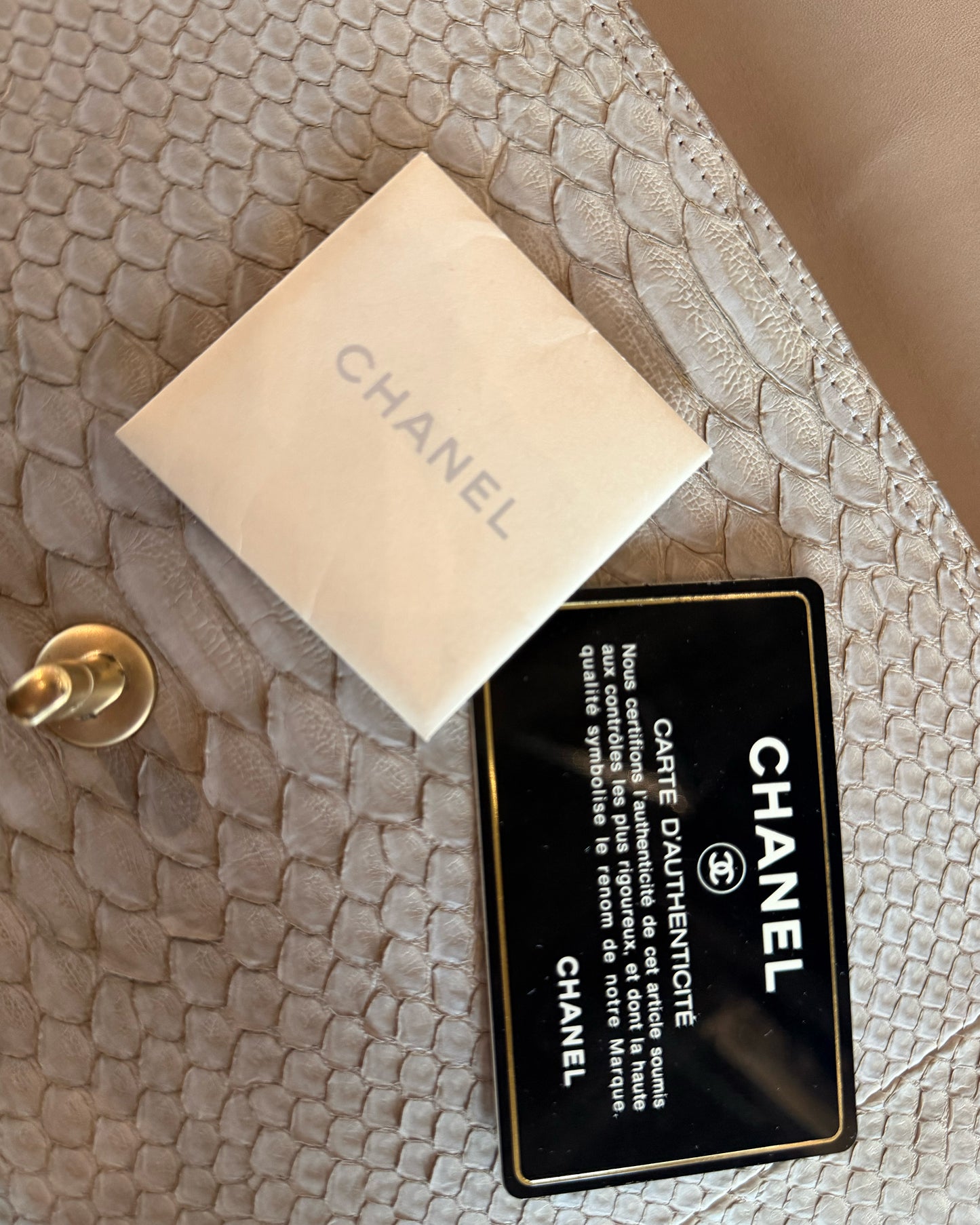 CHANEL 2010 EXOTIC PYTHON MAXI SINGLE FLAP