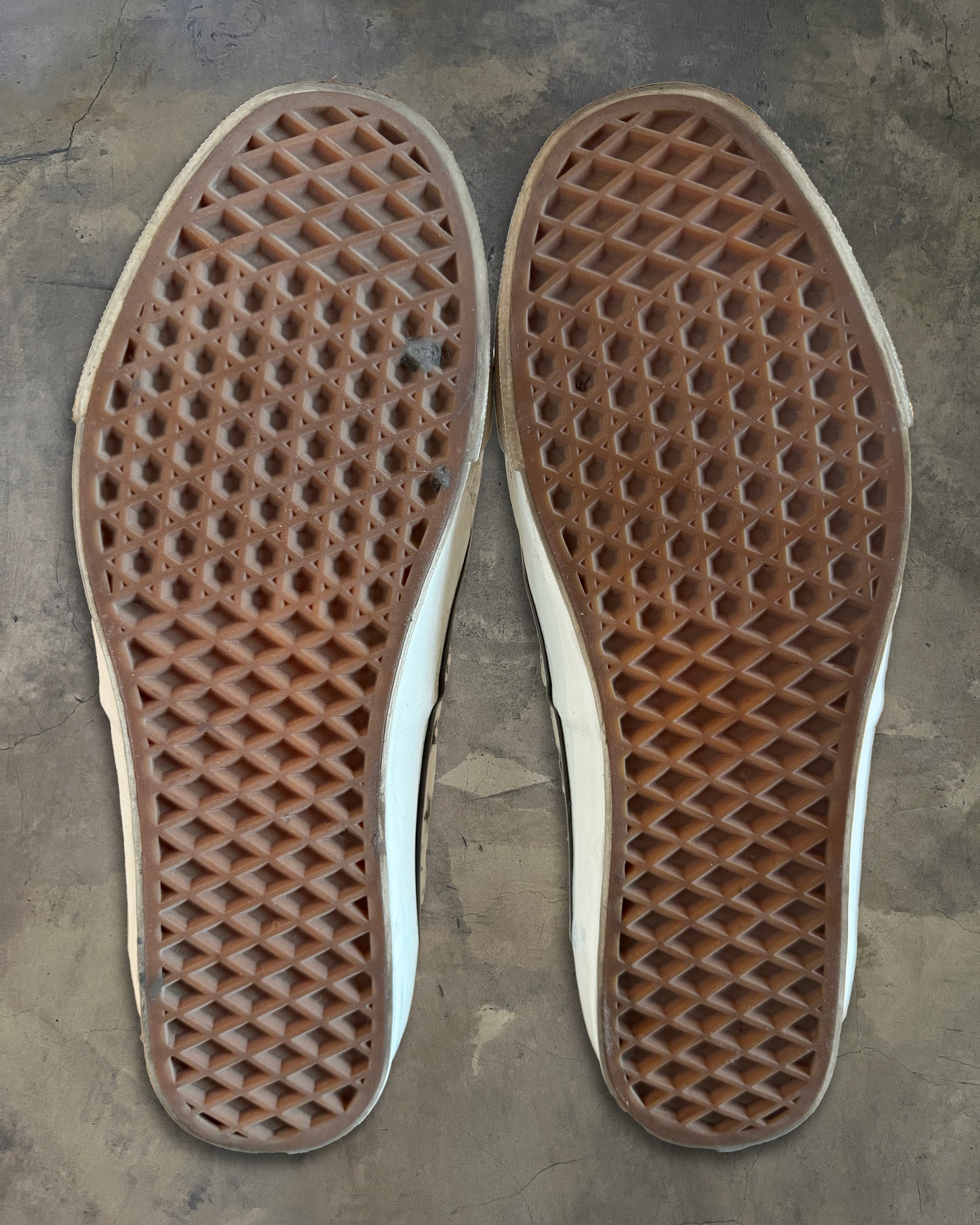 SAMPLE BIANCA CHANDON X VANS 2022 STAR AUTHENTIC