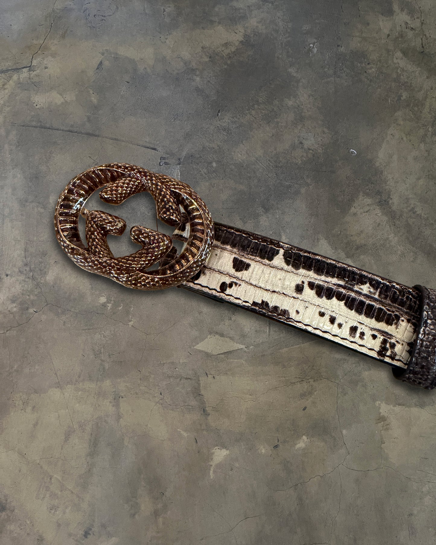 GUCCI GG PYHTON LEATHER BELT